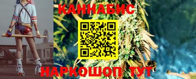 крисы Кунгур