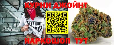 крисы Кунгур